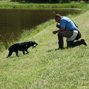 Meet your Posher, James